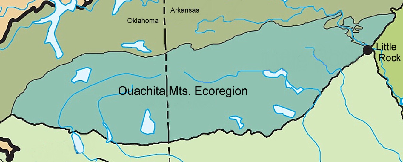 Ouachitaecoregion.jpg