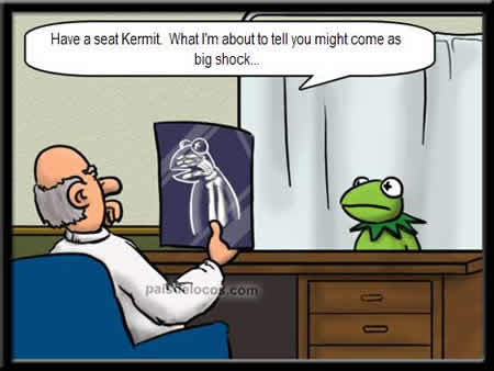 kermit.jpg